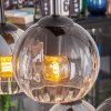 Koyoto hanging light, globe light, pendant light Amber, clear, Smoke-coloured, 6-light sources