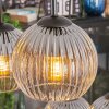 Koyoto hanging light, globe light, pendant light clear, Smoke-coloured, 6-light sources