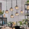 Koyoto hanging light, globe light, pendant light clear, Smoke-coloured, 6-light sources