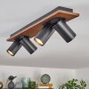 Dalan ceiling light, ceiling spotlight LED Ecru, black, 4-light sources