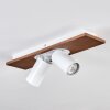 Dalan ceiling light, ceiling spotlight LED Ecru, white, 2-light sources