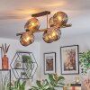 Ripoll ceiling light, globe light gold, black, 8-light sources