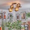 Ripoll ceiling light, globe light gold, black, 8-light sources