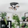 Gastor ceiling light, globe light chrome, clear, Smoke-coloured, 3-light sources