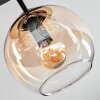 Koyoto ceiling light, globe light Amber, clear, 3-light sources