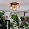 Koyoto ceiling light, globe light Amber, clear, 3-light sources