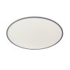 Wofi LINOX Ceiling light LED silver, 1-light source, Remote control