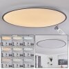 Champa Ceiling Light LED silver, 1-light source, Remote control