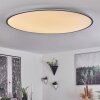 Champa Ceiling Light LED silver, 1-light source, Remote control