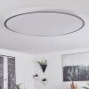 Champa Ceiling Light LED silver, 1-light source, Remote control