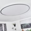 Champa Ceiling Light LED silver, 1-light source, Remote control
