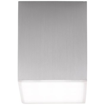 AEG Gillian Ceiling Light aluminium, 1-light source
