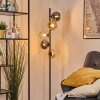 Koyoto globe light, floor lamp 31 cm Amber, chrome, clear, Smoke-coloured, 5-light sources