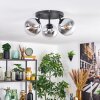 Gastor ceiling light, globe light chrome, clear, Smoke-coloured, 3-light sources