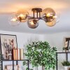 Gastor ceiling light, globe light 62 cm Amber, clear, Smoke-coloured, 6-light sources