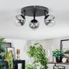 Chehalis ceiling light, globe light clear, Smoke-coloured, 3-light sources