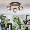 Chehalis ceiling light, globe light clear, Smoke-coloured, 3-light sources