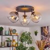 Koyoto ceiling light, globe light Amber, clear, Smoke-coloured, 3-light sources