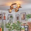 Koyoto ceiling light, globe light gold, black, 8-light sources