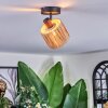 Granja ceiling light, ceiling spotlight black, 1-light source