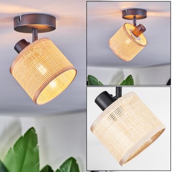 Sabadim ceiling light, ceiling spotlight black, 1-light source