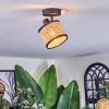 Ramila ceiling light, ceiling spotlight black, 1-light source
