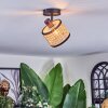 Ramila ceiling light, ceiling spotlight black, 1-light source