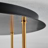 Gastor ceiling light, globe light 45 cm brass, black, 5-light sources