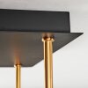 Ripoll ceiling light, globe light gold, black, 5-light sources