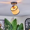 Chellas ceiling light, ceiling spotlight black, 1-light source