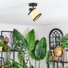 Chellas ceiling light, ceiling spotlight black, 1-light source
