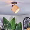 Bongal ceiling light, ceiling spotlight black, 1-light source