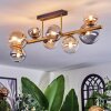 Chehalis ceiling light, globe light gold, black, 8-light sources