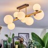 Chehalis ceiling light, globe light gold, black, 8-light sources