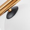 Chehalis ceiling light, globe light gold, black, 8-light sources