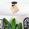 Barcos ceiling light, ceiling spotlight black, 1-light source