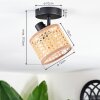 Barcos ceiling light, ceiling spotlight black, 1-light source