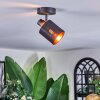 Fallhagen ceiling light, ceiling spotlight black, 1-light source