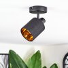 Fallhagen ceiling light, ceiling spotlight black, 1-light source
