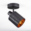 Fallhagen ceiling light, ceiling spotlight black, 1-light source