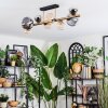 Chehalis ceiling light, globe light gold, black, 8-light sources