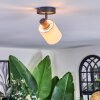 Fallhagen ceiling light, ceiling spotlight black, 1-light source