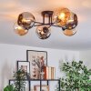Koyoto ceiling light, globe light 59 cm Amber, chrome, Smoke-coloured, 6-light sources
