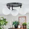 Chehalis ceiling light, globe light white, 3-light sources