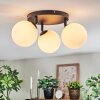 Chehalis ceiling light, globe light white, 3-light sources