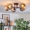Koyoto ceiling light, globe light 59 cm clear, Smoke-coloured, 6-light sources