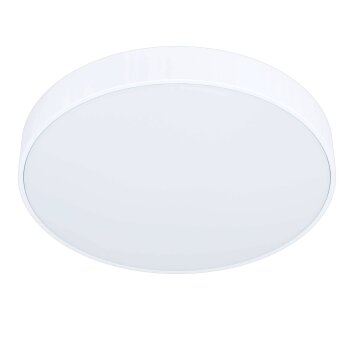 Eglo ZUBIETA-A light LED white, 1-light source, Remote control