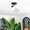 Fallhagen ceiling light, ceiling spotlight black, 1-light source