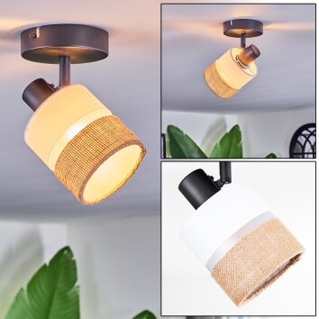 Fallhagen ceiling light, ceiling spotlight black, 1-light source