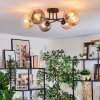 Koyoto ceiling light, globe light 59 cm Amber, clear, Smoke-coloured, 6-light sources